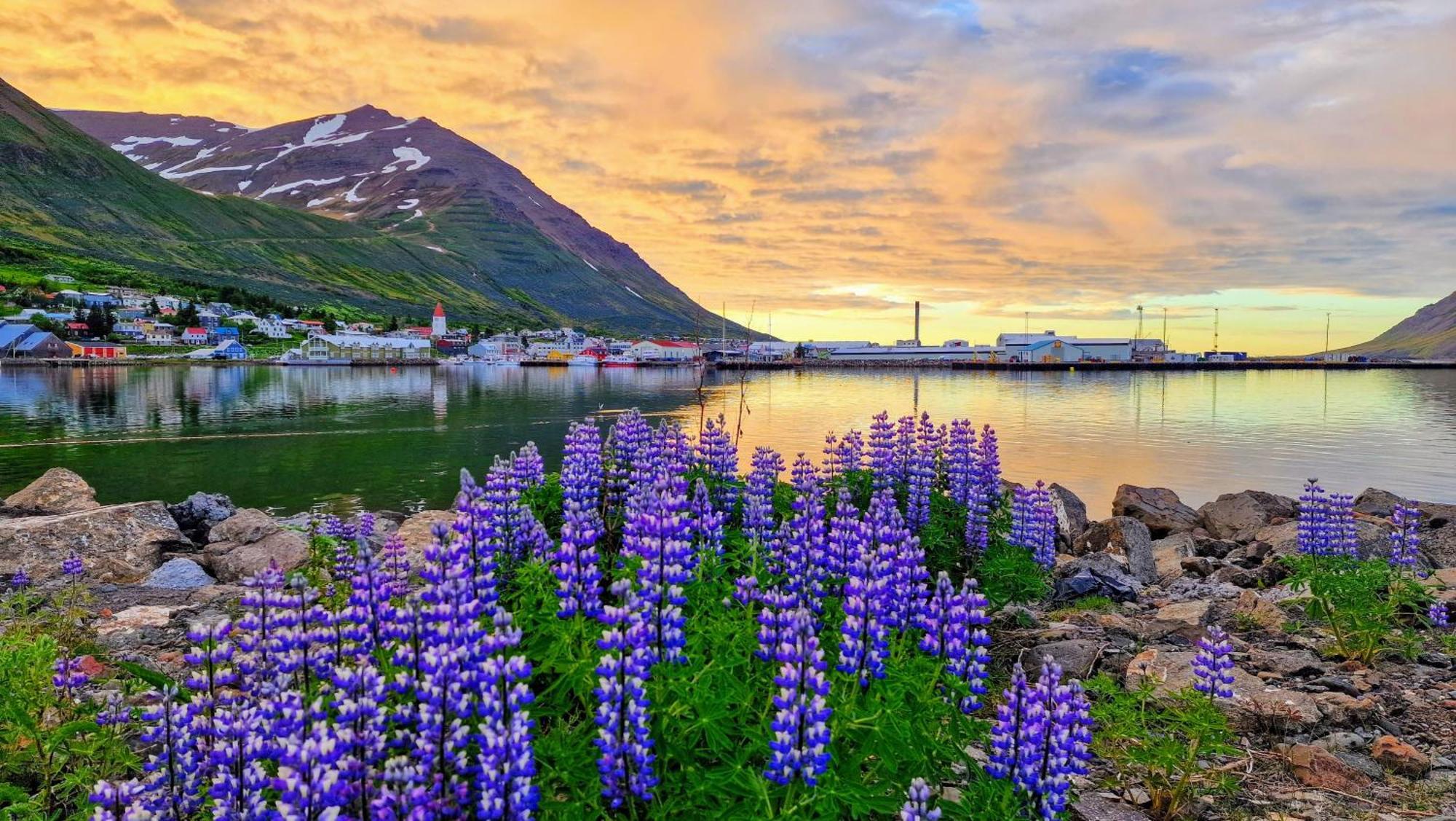 Landakot The Perfect Getaway By Staynorth Siglufjordur Экстерьер фото